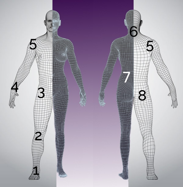 Main Pain Positions in the Body