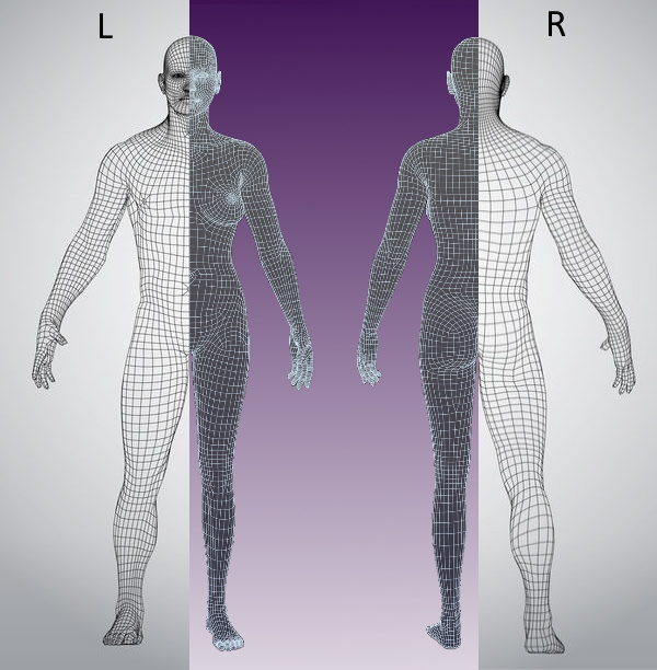 Interactive Body Blueprint